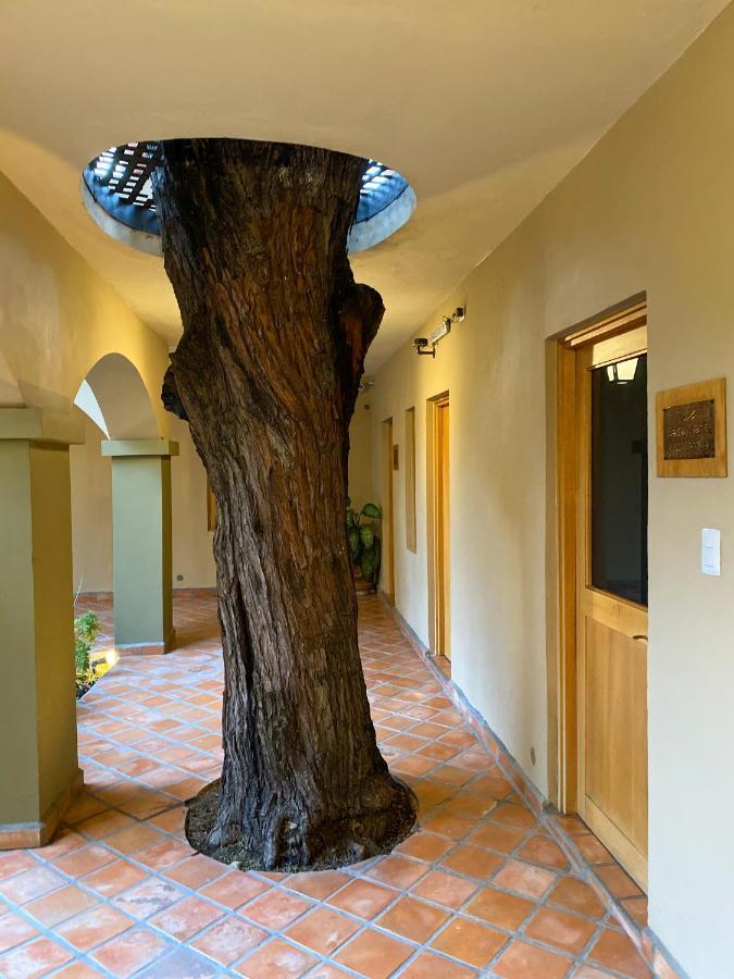 Casa Nare Adults Only Hotel San Miguel de Allende